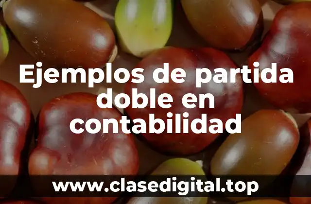 Ejemplos de partida doble en contabilidad