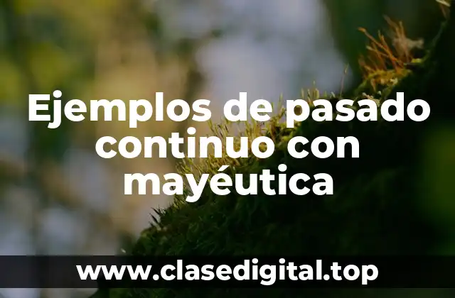 Ejemplos de pasado continuo con mayéutica