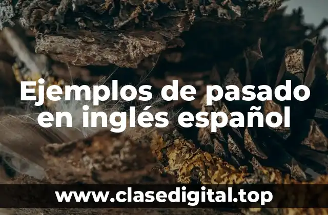 Ejemplos de pasado en inglés español