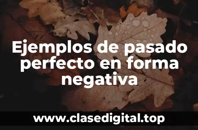 Ejemplos de pasado perfecto en forma negativa