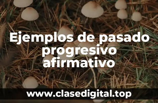 Ejemplos de pasado progresivo afirmativo