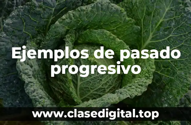 Ejemplos de pasado progresivo