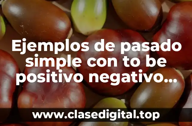 Ejemplos de pasado simple con to be positivo negativo interrogativo