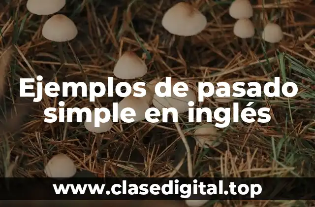 Ejemplos de pasado simple en inglés