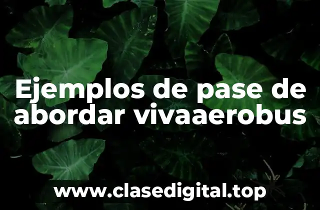 Ejemplos de pase de abordar vivaaerobus