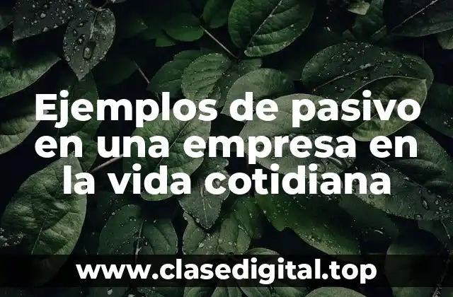 Ejemplos de pasivo en una empresa en la vida cotidiana