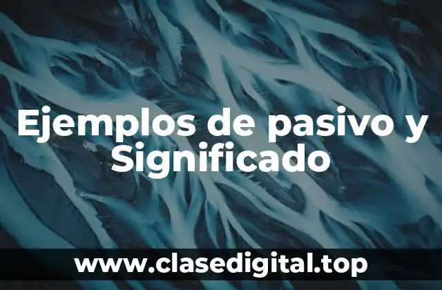 Ejemplos de pasivo y Significado