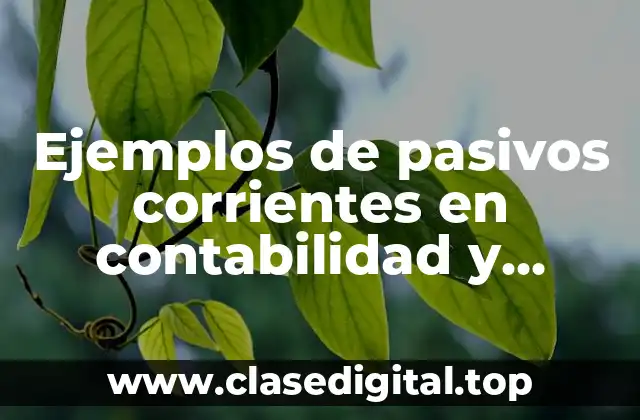 Ejemplos de pasivos corrientes en contabilidad y Significado