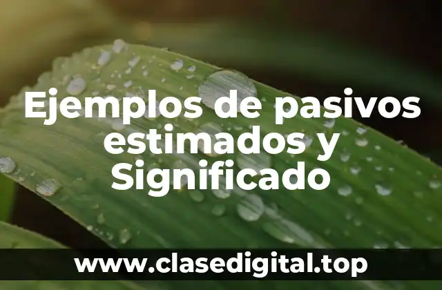 Ejemplos de pasivos estimados