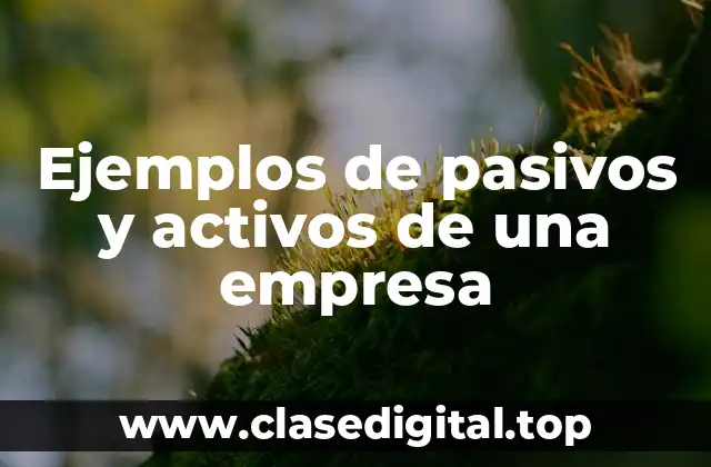 Ejemplos de pasivos y activos de una empresa