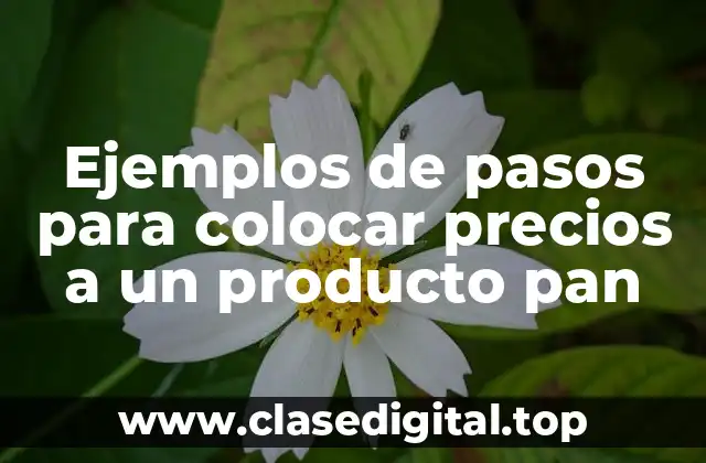 Ejemplos de pasos para colocar precios a un producto pan