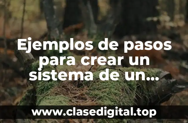 Ejemplos de pasos para crear un sistema de un producto