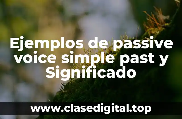 Ejemplos de passive voice simple past y Significado