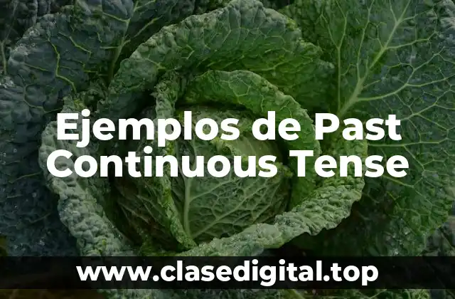 Ejemplos de Past Continuous Tense