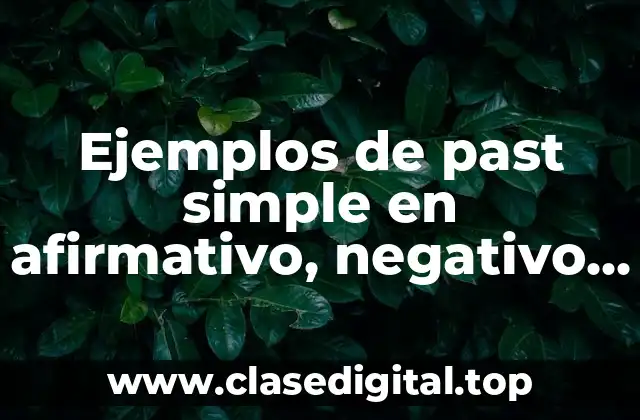 Ejemplos de past simple en afirmativo, negativo e interrogativo