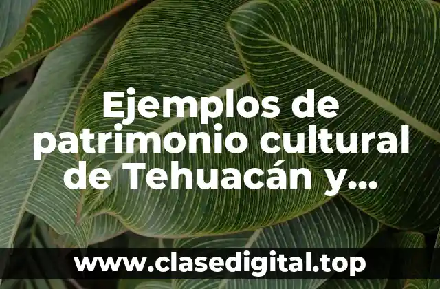 Ejemplos de patrimonio cultural de Tehuacán y Significado