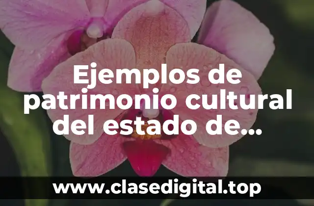 Ejemplos de patrimonio cultural del estado de México y Significado
