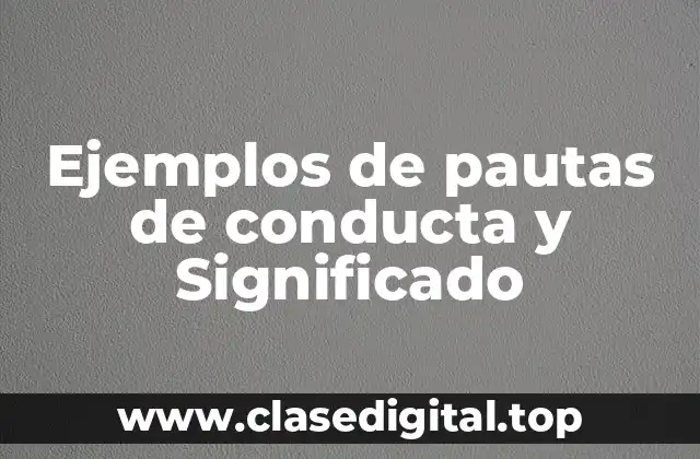 Ejemplos de pautas de conducta y Significado