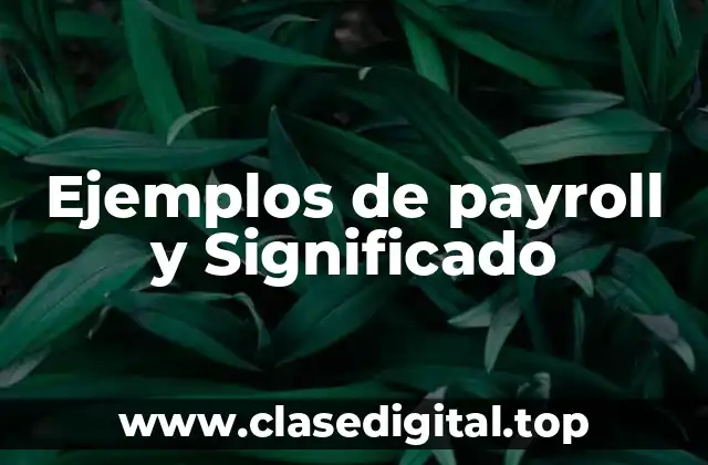 Ejemplos de payroll y Significado