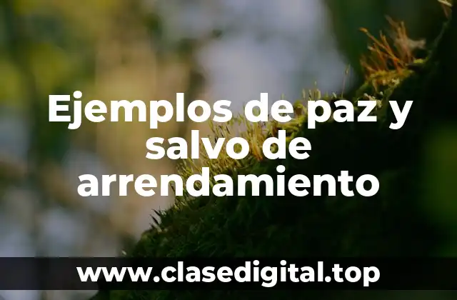 Ejemplos de paz y salvo de arrendamiento