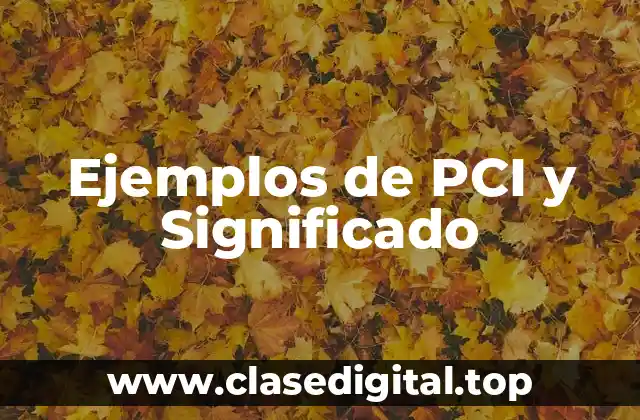 Ejemplos de PCI y Significado