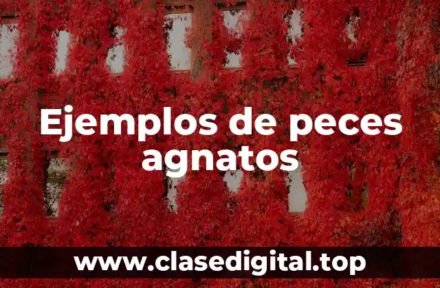 Ejemplos de peces agnatos