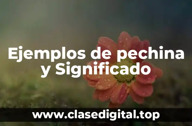 Ejemplos de pechina y Significado