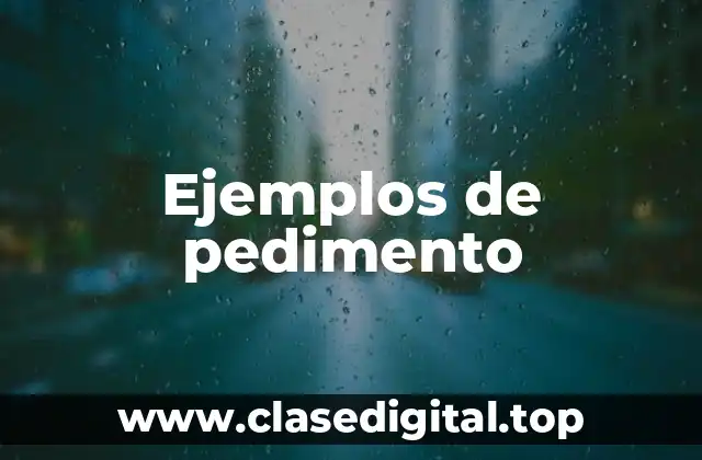 Ejemplos de pedimento