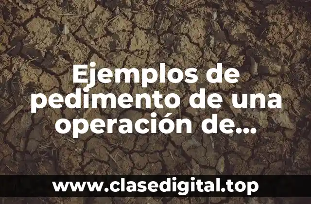 Ejemplos de pedimento de una operación de comercio exterior