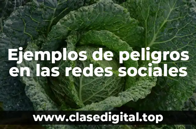 Ejemplos de peligros en las redes sociales