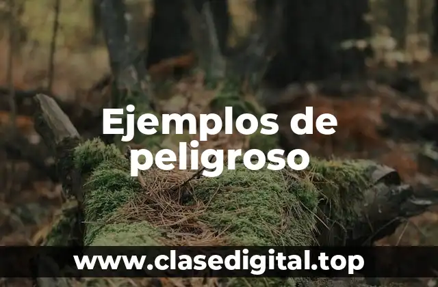 Ejemplos de peligroso