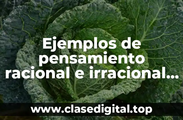 Ejemplos de pensamiento racional e irracional