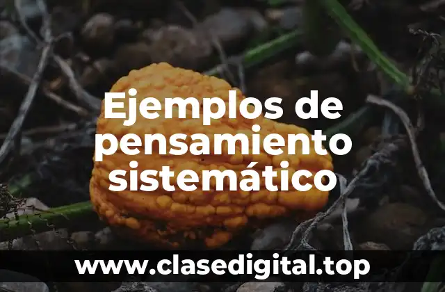 Ejemplos de pensamiento sistemático