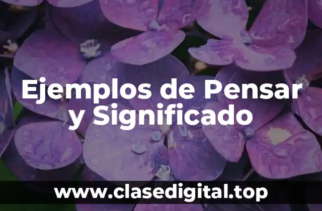 Ejemplos de Pensar y Significado