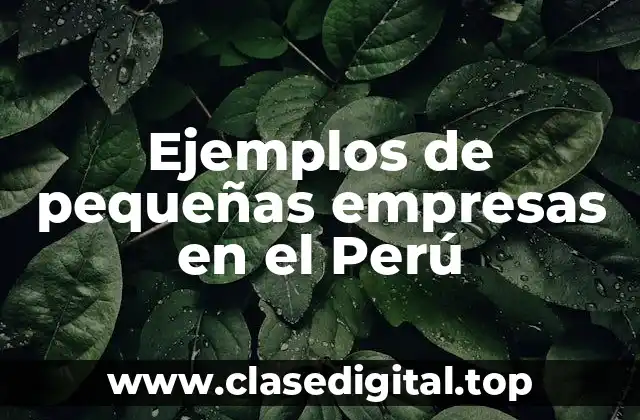 Ejemplos de pequeñas empresas en el Perú