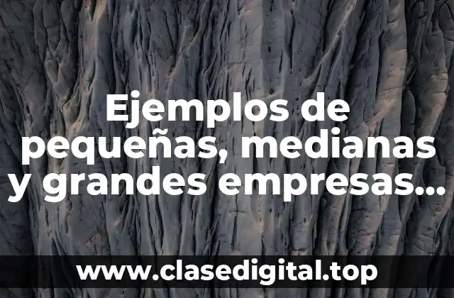 Ejemplos de pequeñas, medianas y grandes empresas en Chiapas