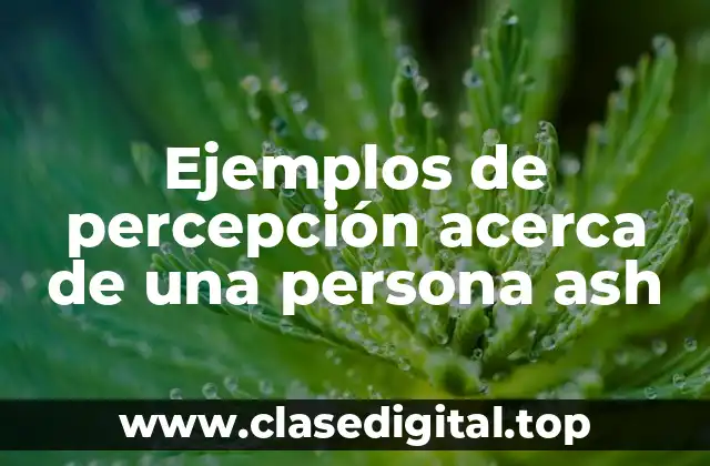 Ejemplos de percepción acerca de una persona ash