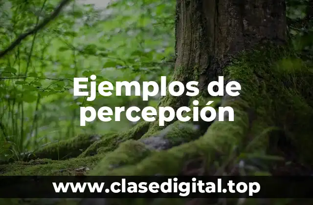 Ejemplos de percepción
