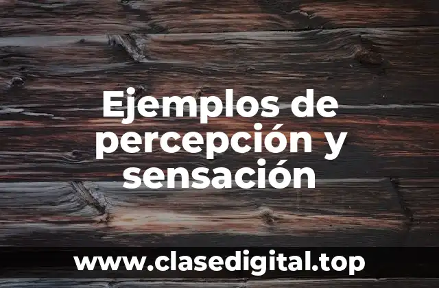 Ejemplos de percepción y sensación