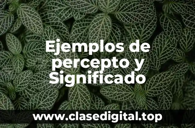 Ejemplos de percepto y Significado