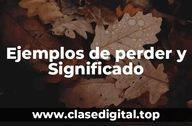 Ejemplos de perder y Significado