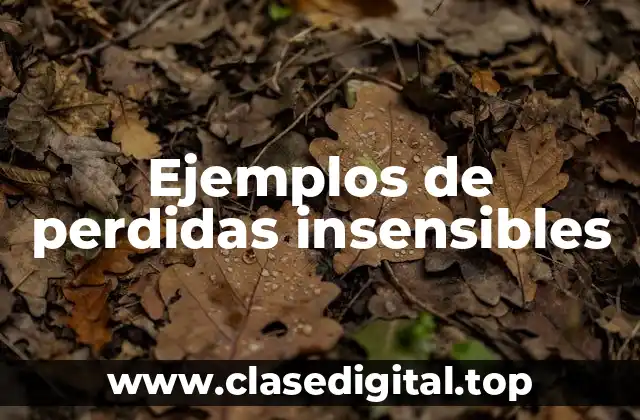 Ejemplos de perdidas insensibles