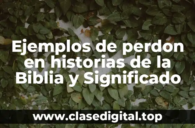 Ejemplos de perdon en historias de la Biblia y Significado