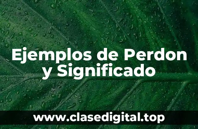 Ejemplos de Perdon y Significado