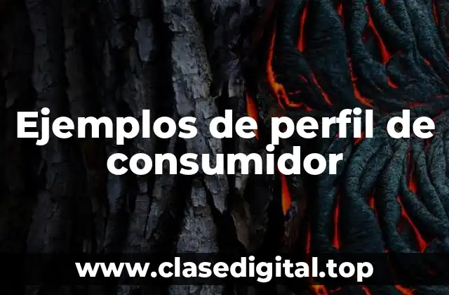 Ejemplos de perfil de consumidor