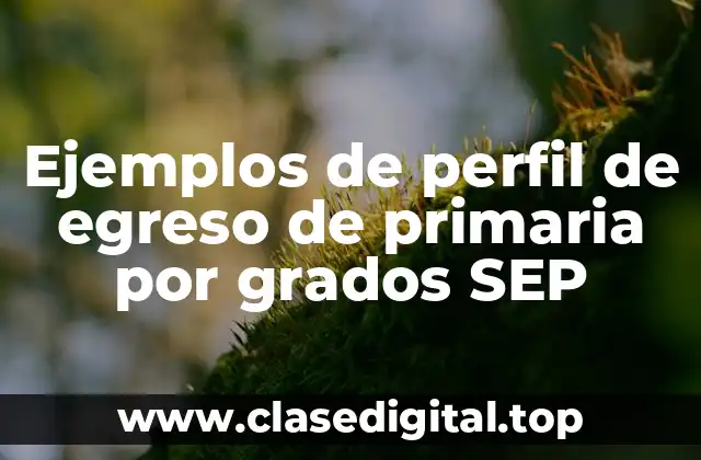 Ejemplos de perfil de egreso de primaria por grados SEP