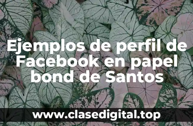 Ejemplos de perfil de Facebook en papel bond de Santos