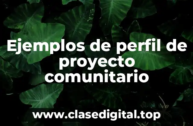 Ejemplos de perfil de proyecto comunitario