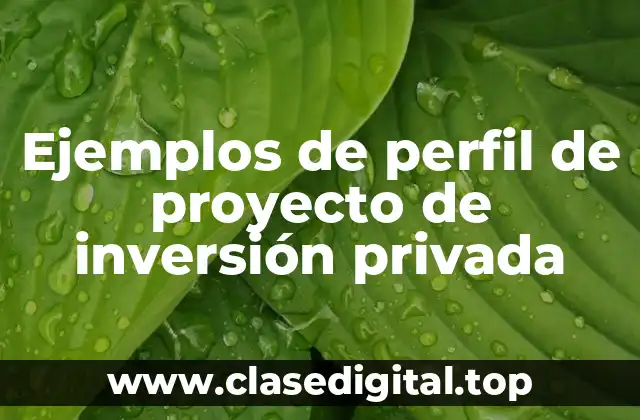Ejemplos de perfil de proyecto de inversión privada