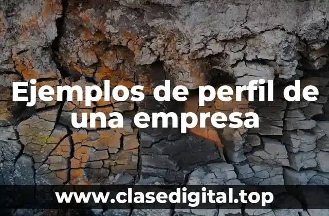 Ejemplos de perfil de una empresa